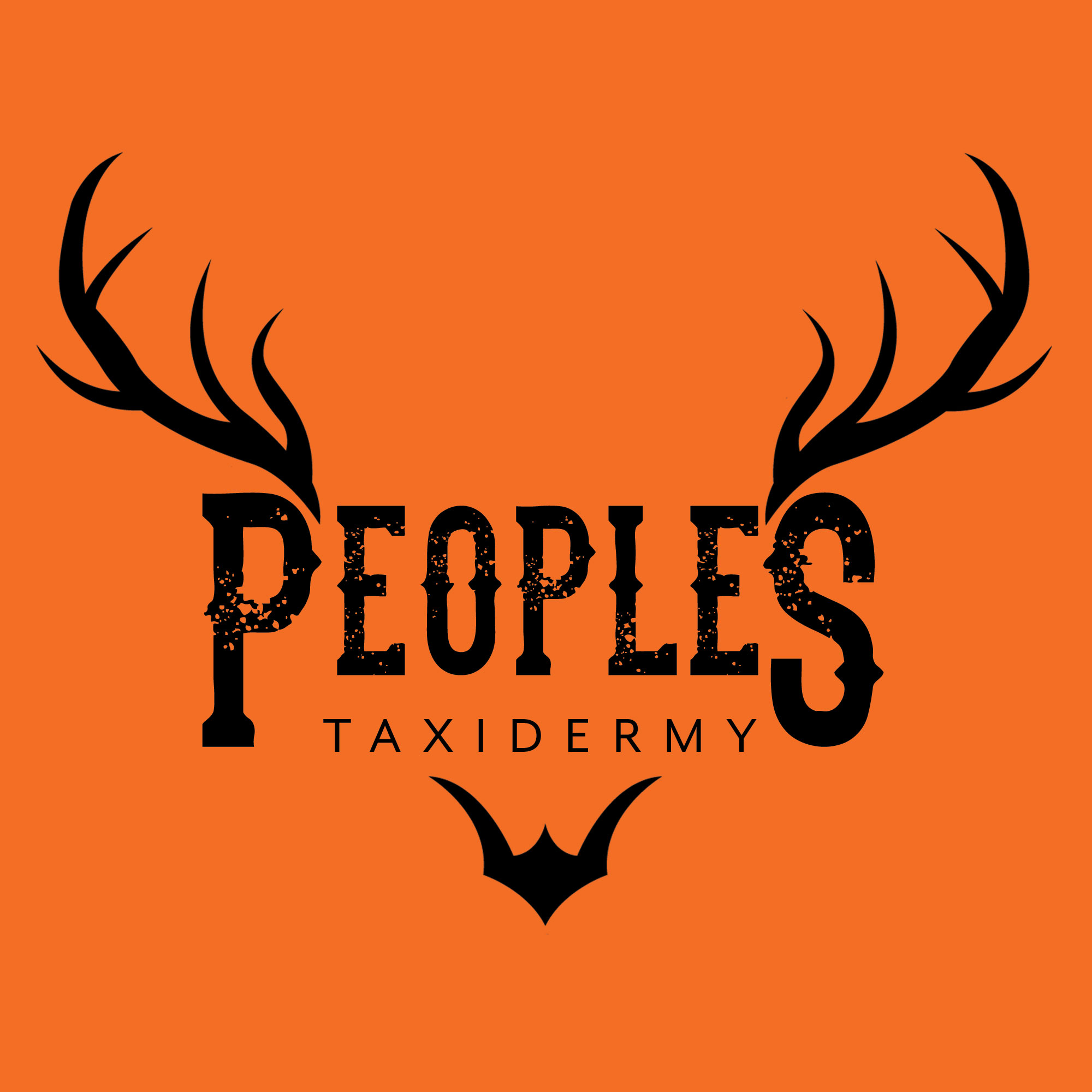 Peoples Taxidermy